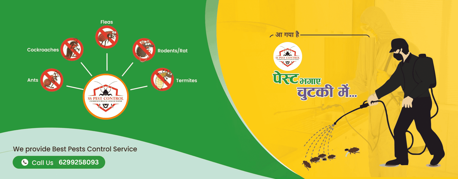 We Eliminate Pests from the Root (1)