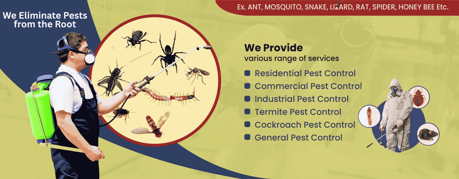 We Eliminate Pests from the Root